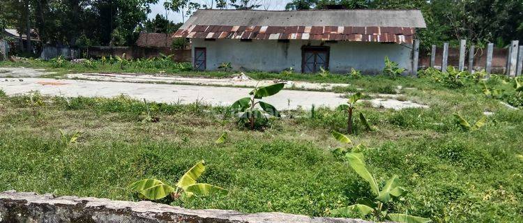 Dijual Cepat Tanah Murah Di Kedung Biro Lumajang Bu Kt 1