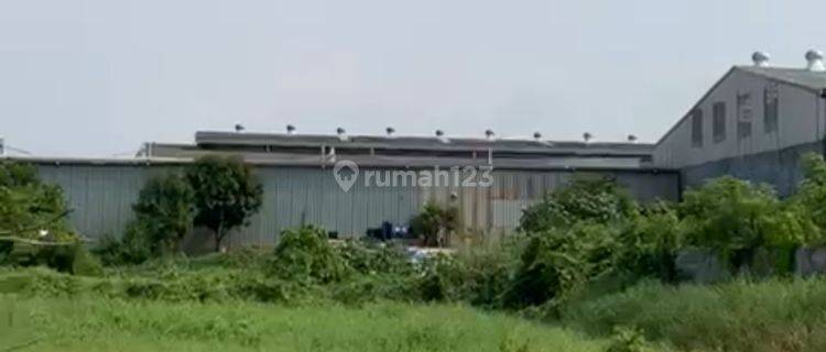 Tanah utk Gudang / Pabrik Neglasari Kedaung Wetan Tangerang 1