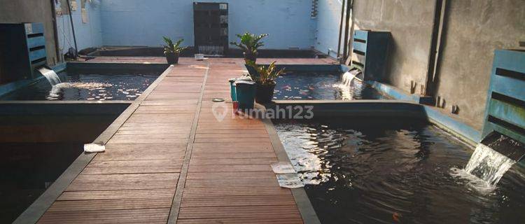 Dijual Villa Dan Pembibitan Ikan Koi di Majalaya Bandung 1