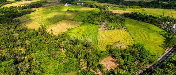 Dijual Tanah Luas Cocok Untuk Usaha Dekat Pantai Area Tabanan 1