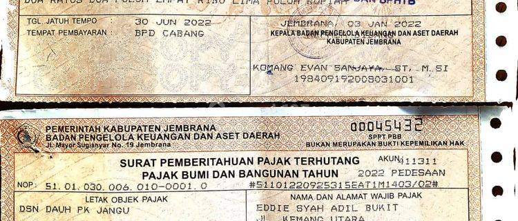 Villa Indah Dengan Tanah Luas Dekat Jalan Raya Gilimanuk 1