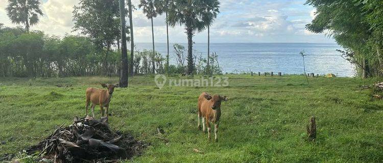 For Sale Cheap Land Cliffront Seraya Karangasem Negotiable  1