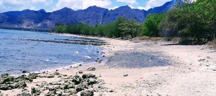 Dijual Tanah Los Pantai Pemuteran Buleleng Harga Nego  1