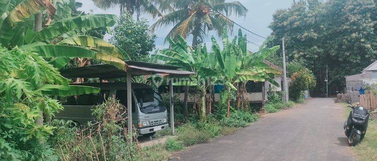 For Sale Land Lovina Central Negotiable Price 1