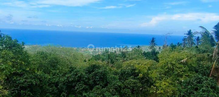 Dijual Tanah Full View Laut Lovina Bali Harga Super Murah 1