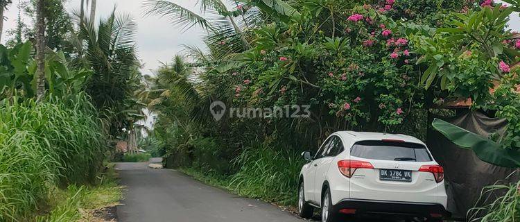 Dijual tanah los sungai ayung lokasi payangan ubud Gianyar Bali  1