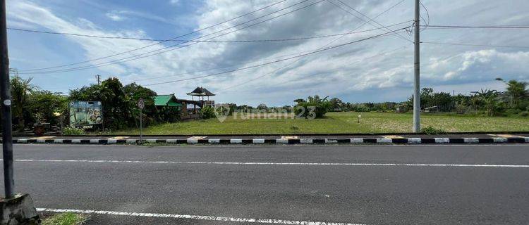 Dijual Tanah Murah Jln Utama Tanah Lot Tabanan Bali  1