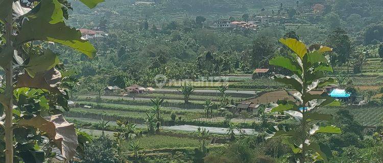 Dijual Tanah Murah Bedugul Tabanan View Spectacular  1