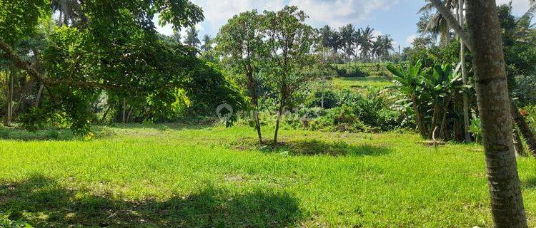 For Sale Cheap Land Kemenuh Ubud Bali View Sumampan Waterfall 1