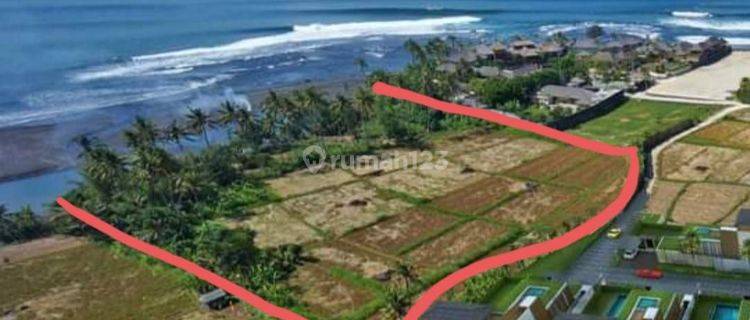 Dijual Tanah Los Pantai Ketewel Gianyar Bali Harga Nego 1