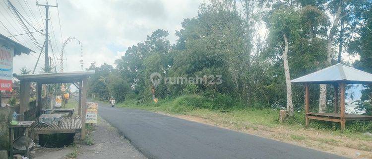 For Sale Land Munduk Wanagiri Main Road Acsses Negotiable Price 1