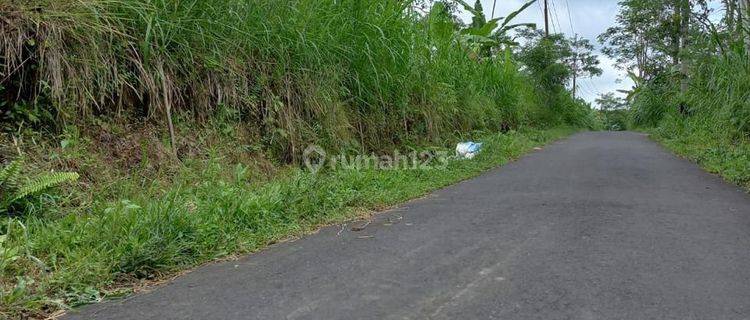 For Sale Land Ubud Tegalalang Negotiable Price Full View 1