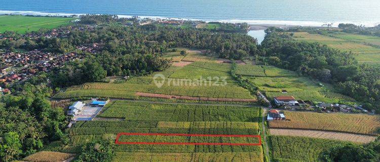 Cheap land for sale Pasut Beach Tabanan Bali Price Negotiable 1