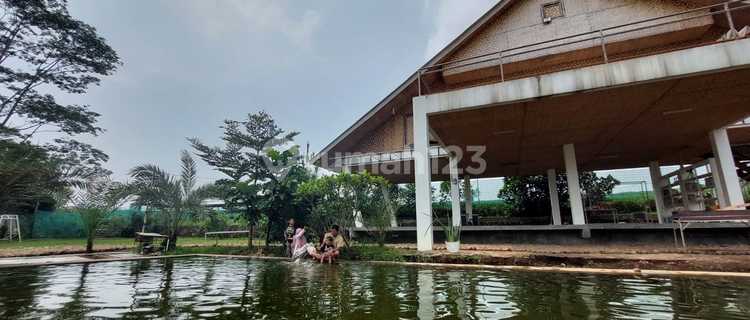 Villa Seharga Sawah Kosongan Di Banjaran Bandung  1