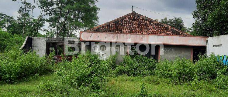 TANAH PINGGIR JALAN DI TIRTOMARTANI SLEMAN 1