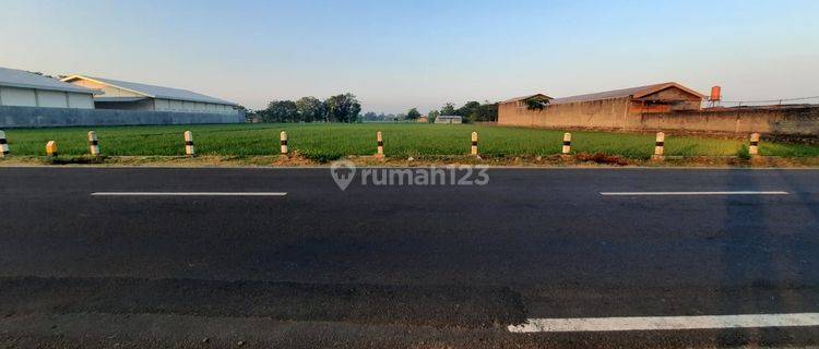 Lahan Komersial di Lokasi Strategis, Jalan Raya Solo sukoharjo, Jawa Tengah 1