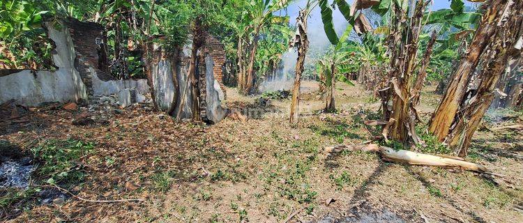 Tanah di Desa Mayasuta 8000 m² SHM 1