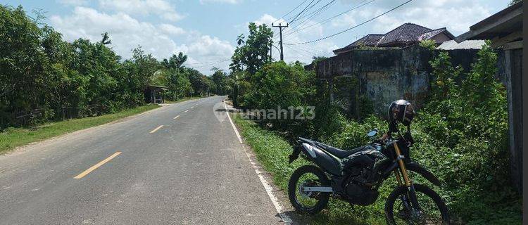 Tanah belagu desa sumur batu Cikeusik pandeglang banten 1