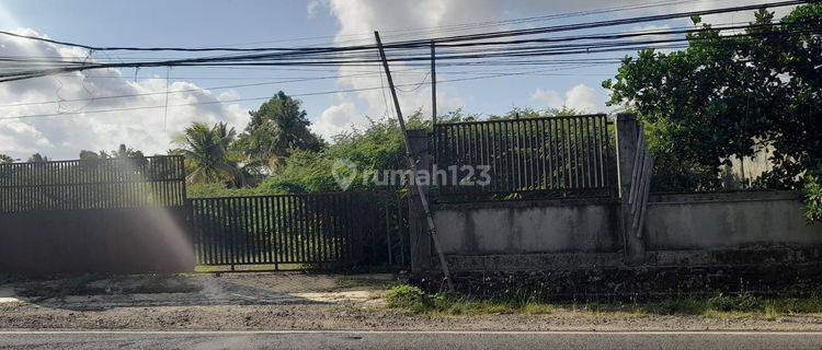 Tanah di Mekarsari panimbang pandeglang Tangerang  1