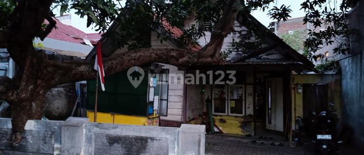 Rumah Apa Adanya Pusponjolo Semarang Lokasi Legendaris Super Strategis 1
