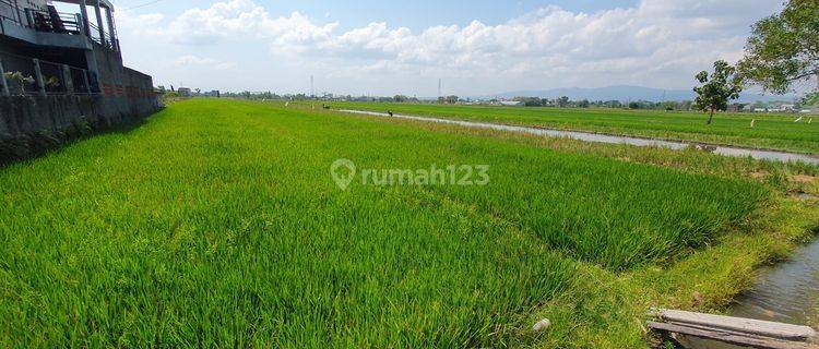 3 Tanah Sawah Cocok Untuk PerumahanDekat RSUP Dr Soeradji Klaten Selatan. 1