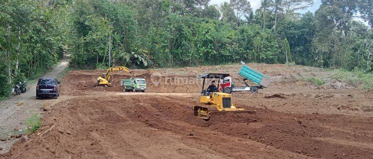 Tanah Seluas 6258 Meter Persegi Lokasi kalibawang Kulonprogo 1