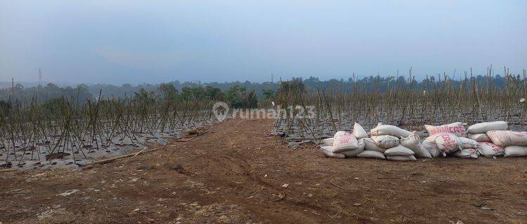 Tanah dijual di bojong genteng kabupaten sukabumi jawa barat 1