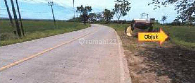 Tanah Dijual Murah Di Tanjung Lesung Panimbang Pandeglang Banten 1