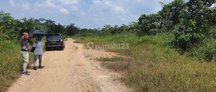 Tanah dijual di talang kelapa kabupaten banyuasin sumsel 1