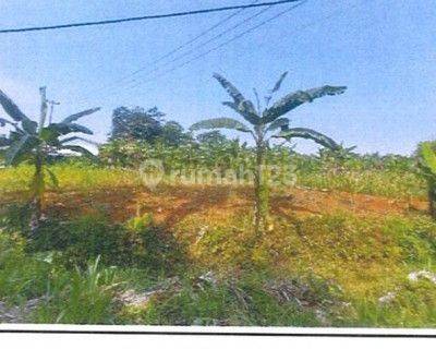 Tanah dijual di jl PT NASSAU citeureup kabupaten bogor  1