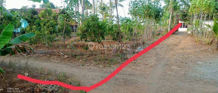 Tanah Kosong Siap Bangun Di Dukuhrejo,Bayan,Purworejo 1