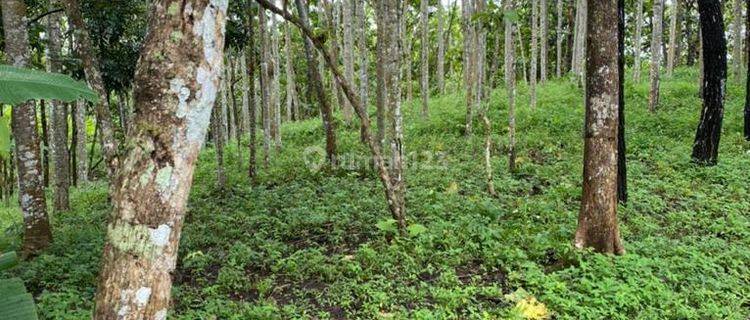 Dijual Lahan di Desa Bantargadung, Blok Linggaresmi Sukabumi 1