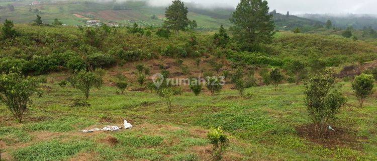 Dijual Lahan di Desa Kacinambun, Puncak 2000 Siosar, Kabanjahe, Kab. Karo Sumut 1