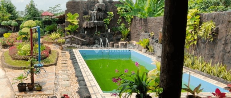 Dijual Villa Bagus Ada Kolam Renang Siap Huni, Pringsewu, Lampung 1
