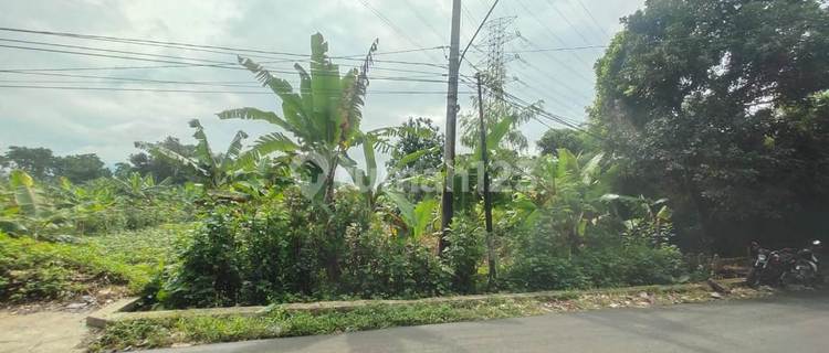 Tanah di Jalan Ciherang Bong,cikeas,sukaraja, Bogor SHM 1.200 m² 1