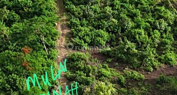Tanah Besar Sangat Cocok Dibuat Perumahan Minimalis Maupun Elit 1