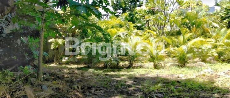 TANAH STRATEGIS DI JALAN TUKAD BADUNG – COCOK UNTUK BISNIS, AKSES JALAN 8 METER 1