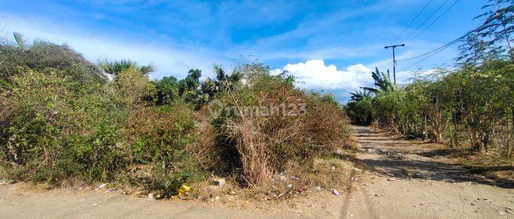 Dijual Tanah Di Labuan Bajo 1