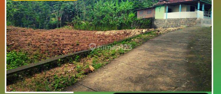 Tanah Murah di Imogiri Bantul Hanya 100 Jutaan 1