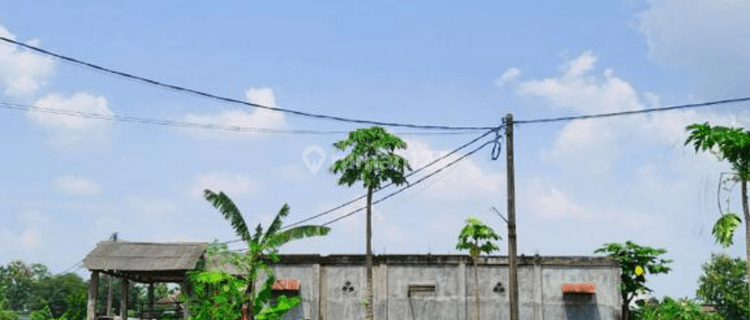 Tanah Murah 1 Jt An M2, 4 Menit Puskesmas Jiwan 1