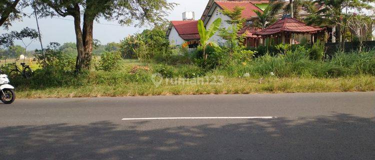 Dijual Murah Tanah Pinggir Raya Takeran Magetan 1