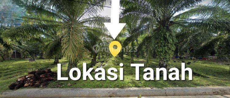 Jual Tanah Sangat Bagus Untuk Perumahan di Kp Bahari Bengkulu 1