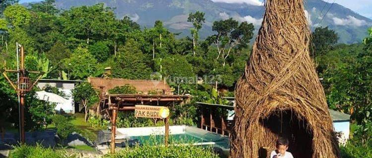 DIJUAL TEMPAT USAHA WISATA RESORT KEBUN PAK BUDI DI KOTA PURWOSARI PASURUAN 1