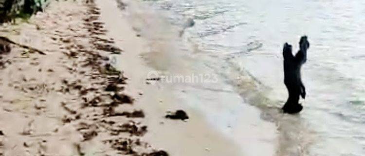Di jual tanah murah, strategis dan Negosible labuan bajo 1