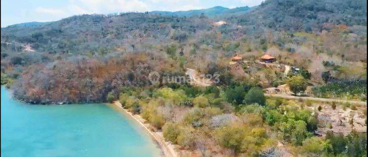 Di  tanah pantai pasir putih di pusat kota labuan bajo 1