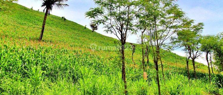 Di jual tanah view sirkuit mandalika lombok tengah 1