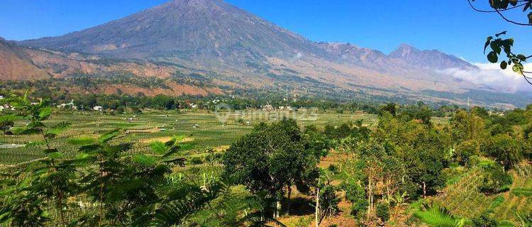 Di Jual Tanah Bukit View Terindah Sembalun Lombok 1