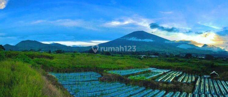 Di Jual Tanah Villa View Gunung Rinjani  Sembalun Lombok 1