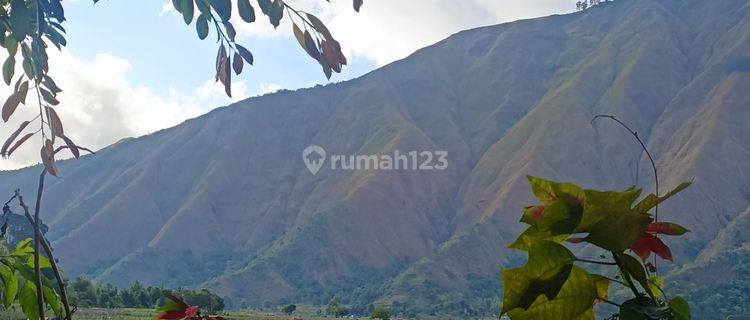 Di Jual Tanah Murah Dan Strategis Sembalun Lombok Timur 1