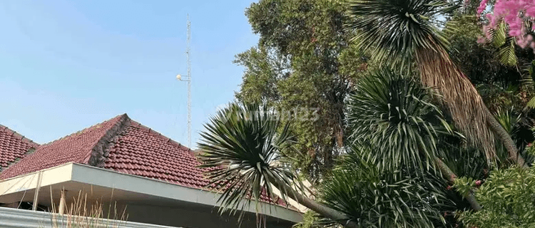 Rumah Antik Mewah Menteng, Strategis. Kondisi Terawat 1
